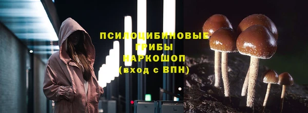 гидра Абаза