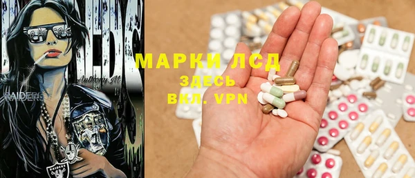 гидра Абаза