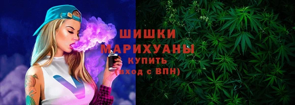 гидра Абаза